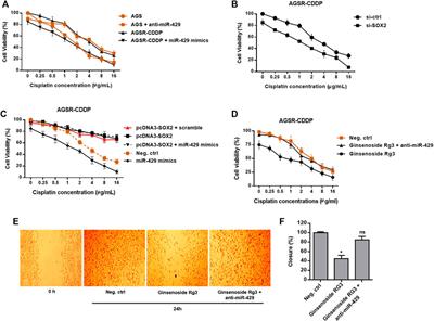 Ginsenoside Rg3 Alleviates Cisplatin Resistance of Gastric Cancer Cells Through Inhibiting SOX2 and the PI3K/Akt/mTOR Signaling Axis by Up-Regulating miR-429